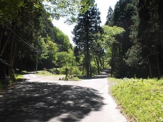 008-520.jpg