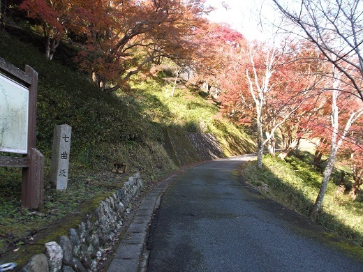 010-520.jpg