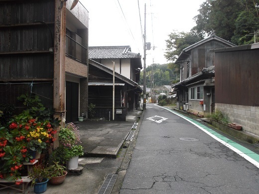 014-520.jpg