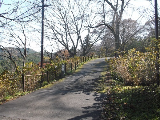 020-520.jpg
