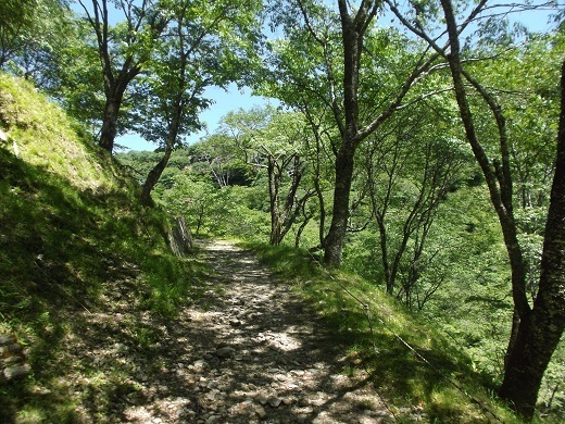 027-520.jpg