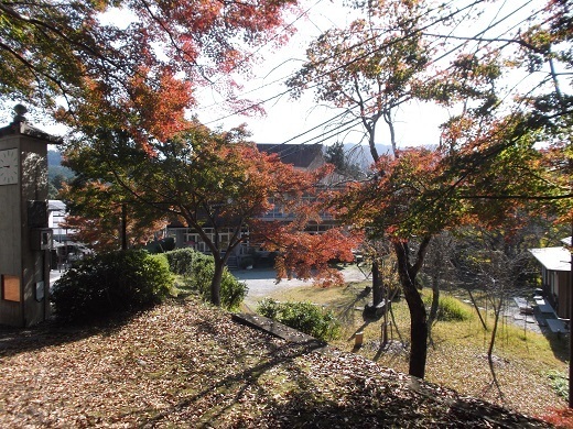 033-520.jpg