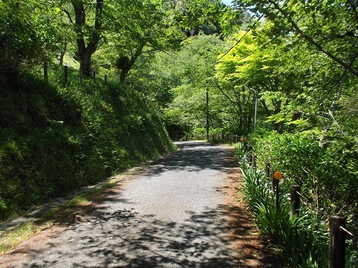 058-520.jpg
