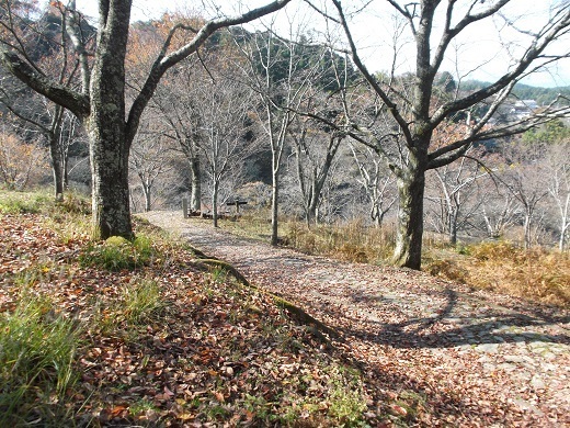 060-520.jpg
