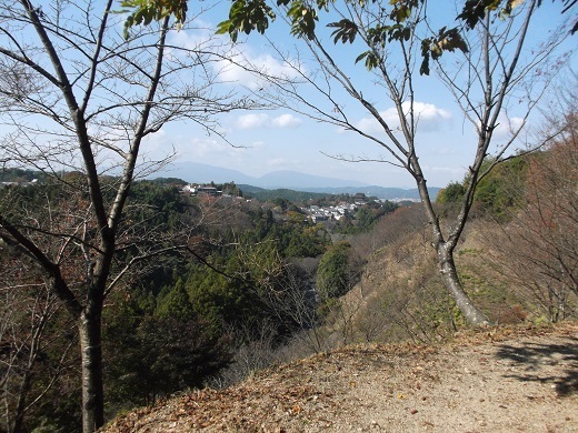 071-520.jpg